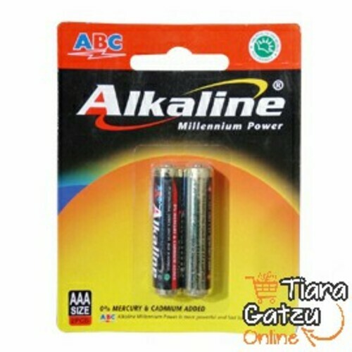 [0313074] ABC - ALKALINE MILLENIUM POWER AAA : ISI 2 