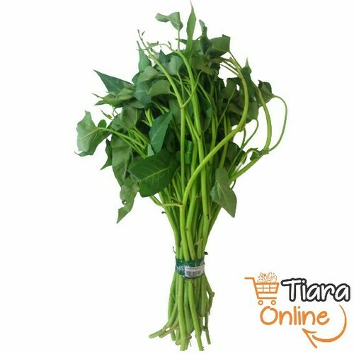 [1552090] TIARA GO - KANGKUNG PLECING